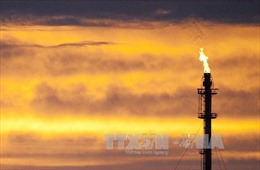 Giá dầu mỏ thế giới tiếp tục đà giảm